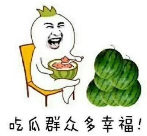 娱乐吃瓜花,吃瓜花背后的故事